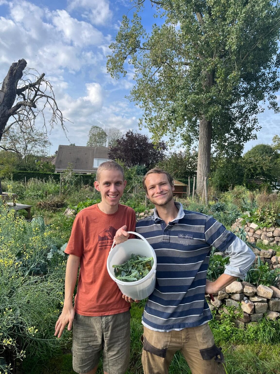 photo-la-canopée-bondues